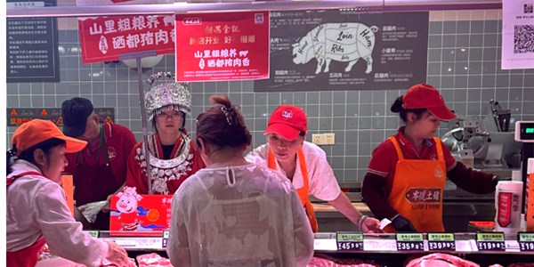 【零號土猪 相遇金凯 】