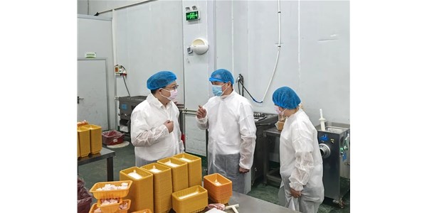 武汉市农业农村局赴农发零号公司调研