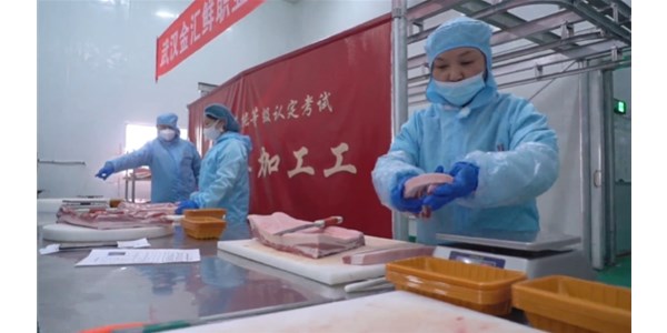 贺：金汇鲜肉品屠宰加工职业技能等级认定考试圆满落幕