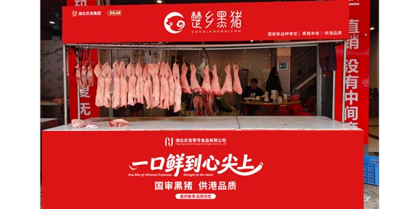 石萍一行赴广东片区调研